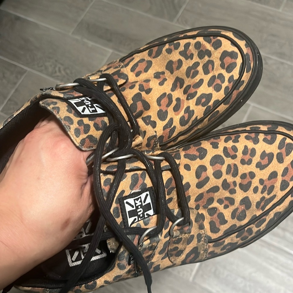 Creepers leopard